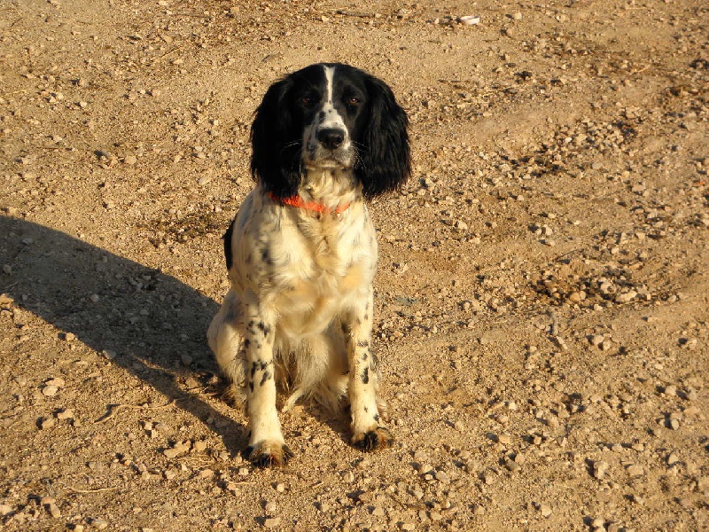 Hydrogene des Mannes Fleuries